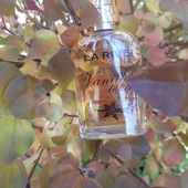 ...Herbstfarben.... (von Kailani)