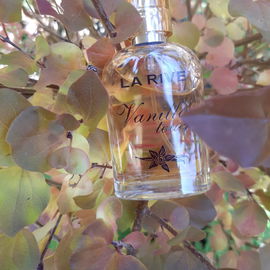 ...Herbstfarben....