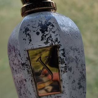 Apollonia by Xerjoff