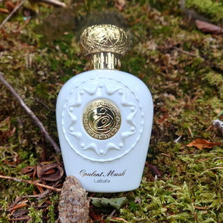 Opulent Musk - Lattafa