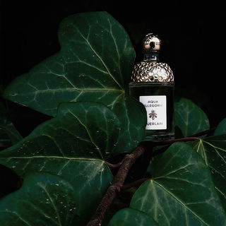 Aqua Allegoria Nerolia Vetiver - Guerlain