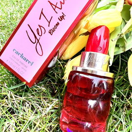 Yes I Am Bloom Up! - Cacharel