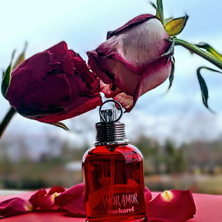 Amor Amor (Eau de Toilette)