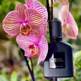 Hallo ihr Lieben, ein Hauch „Red“ Orchid für eure Woche. Liebe Grüße! 🙏🥰💛