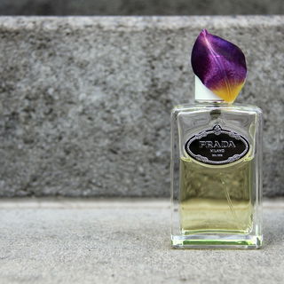 Infusion d'Iris (Eau de Parfum) (2015) von Prada