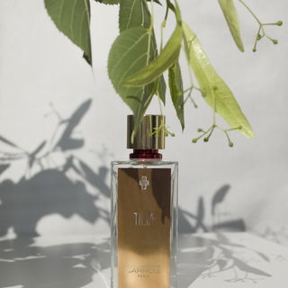 Tilia by Marc-Antoine Barrois