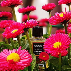 Coco (Eau de Toilette) - Chanel