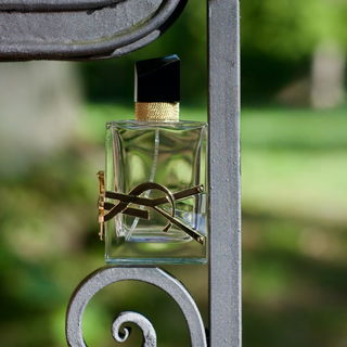 Danke für euren Besuch und eure lieben Kommentare. LG 🙏🥰💛