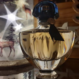 Dia 40 - Amouage