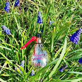 Ich wünsche euch allen angenehme Osterfeiertage 🌷🐰🌷 mit dem schönen Duftei. 😉 (von GreenIvy)