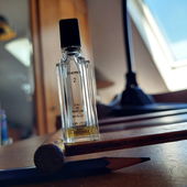 Habt vielen Dank für eure lieben Worte ❤️ (von CharlAmbre)