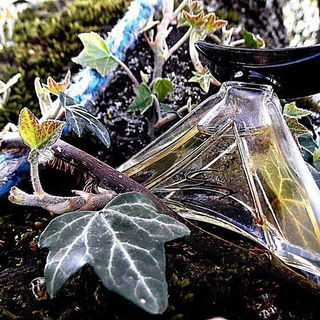 Genny (Eau de Toilette) - Genny