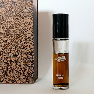 Landscape Scents - Cala von Bravanariz