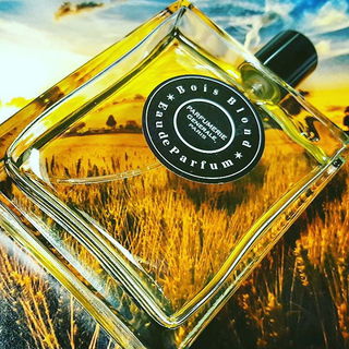 Bois Blond - Pierre Guillaume