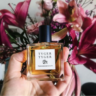 Tyger Tyger von Francesca Bianchi