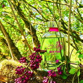 Grüner Apfel, Bambus, Holz - Leider trägt der Baum keine Nektarinen, dafür farblich passenden Flieder 💜💚 Danke für Eure Aufmerksamkeit ☀️ (by MadameLegras)