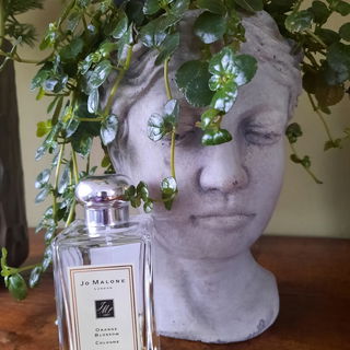 Orange Blossom (Cologne) by Jo Malone