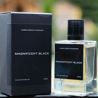 Magnificent Black - Zara