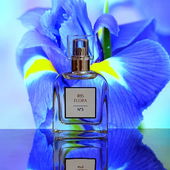 Vielen Dank auch hier zu der so fotogenen Iris ;-) (by Florblanca)