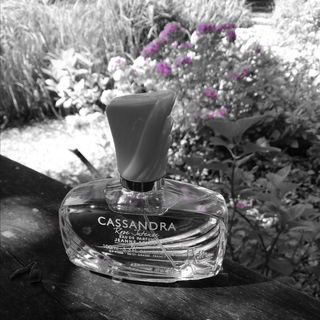 Cassandra Rose Intense - Jeanne Arthes