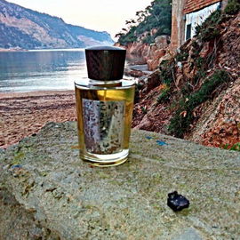 Colonia Intensa de  Acqua Di Parma . www.perfumeriabenegas.com