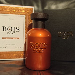 Vento nel Vento von Bois 1920