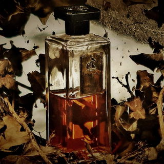 dunkel bist du, sündig bist du, sehr schön bist du