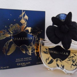 Extatic Intense Gold - Balmain