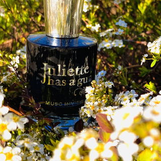 Musc Invisible - Juliette Has A Gun