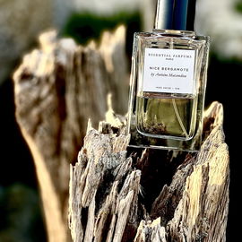 Frische Bergamotte, floral untermalt, perfekt für die wärmeren Tage. .....Danke für euren Besuch und liebe Grüße. 🙏🥰💛