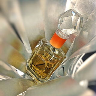 Ambre Nomade - Élisire