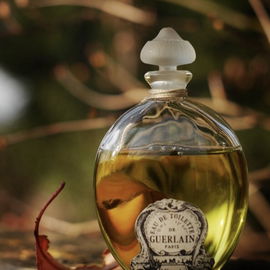 Mitsouko (Eau de Toilette) - Guerlain