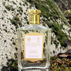 Cherry Blossom (Eau de Parfum) - Floris