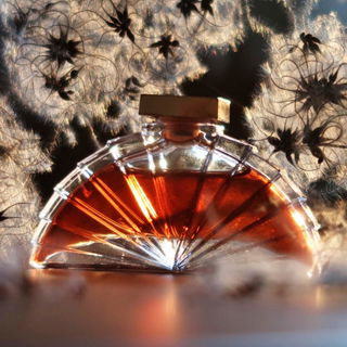 Eine Waldrebe, ein starkes Gehölz kann auch zart und edel sein, genau so wie dieser wunderschöner Duft. Fand den Stern in der Mitte passend zur faszinierenden und edlen Flakonform.