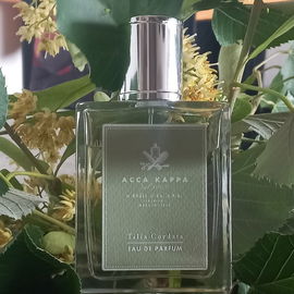 Tilia Cordata - Acca Kappa
