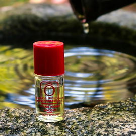 Ô de Lancôme (Eau de Toilette) - Lancôme