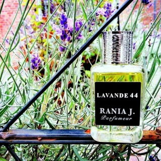 Lavande 44 - Rania J.