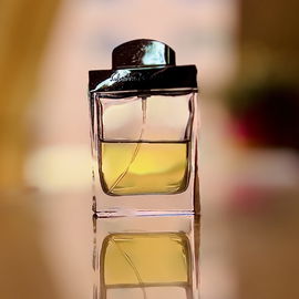 Salvatore Ferragamo pour Homme (Eau de Toilette) - Salvatore Ferragamo