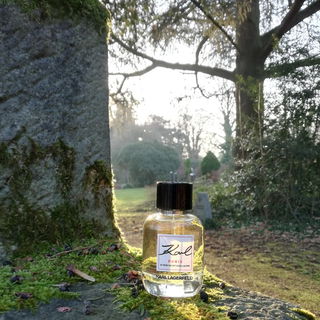 Karl Paris 21 Rue Saint-Guillaume by Karl Lagerfeld