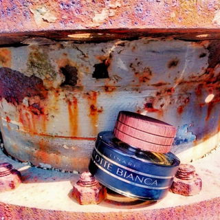 Notte Bianca - Linari