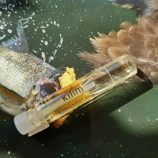 ...Duftbeute eines 🦅