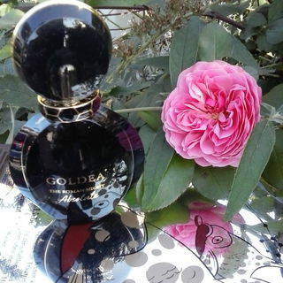 Goldea The Roman Night Absolute by Bvlgari