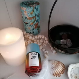 Musk (Eau de Toilette) - Alyssa Ashley