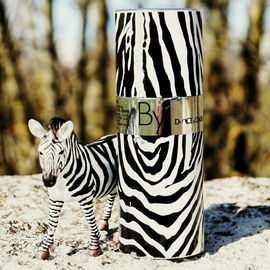 In freier Wildbahn in der Savanne gesichtet. Das scheue Zebra | Dolce & Gabbana - By Man (1998)