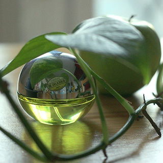Be Delicious (Eau de Parfum) by DKNY / Donna Karan