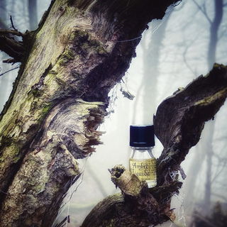 Ambre Liquide von Astier de Villatte