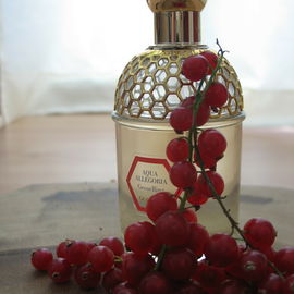 Aqua Allegoria Grosellina - Guerlain