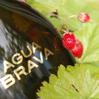 Agua Brava (1968) (Eau de Cologne) von Puig