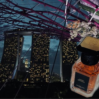 SINGAPUR - Gardens by the Bay auf dem Supertree-Skyway - Blick auf das Marina Bay Sands