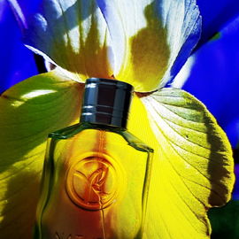 Nature - Bois de Cèdre et Citron Vert - Yves Rocher